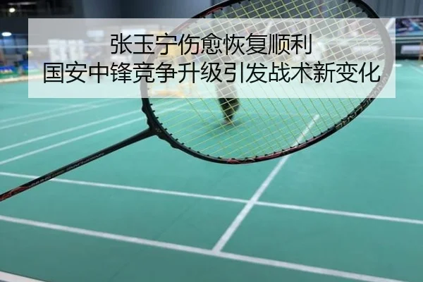 张玉宁伤愈恢复顺利 国安中锋竞争升级引发战术新变化